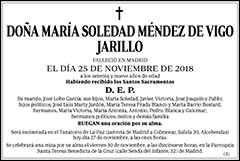 María Soledad Méndez de Vigo Jarillo